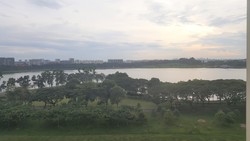 The Tropica (D18), Condominium #165382242